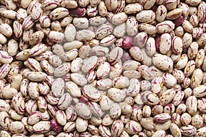 Bed of raw pinto beans - frijoles alubias pintas photo