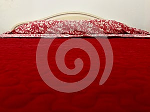 Bed, red plain, mountains in abstract
