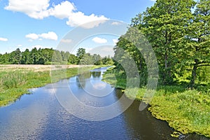 The bed of the river Meadow in summer sunny day. Kaliningrad region