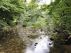 The bed of the river Rak with a canyon and limestone rocks, Cerknica - Notranjska Regional Park, Slovenia