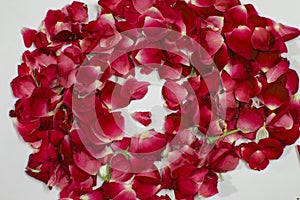 Bed of rose petals and decorated