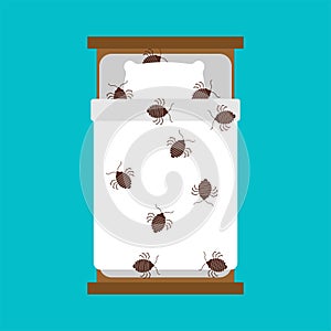 Bedbug in bed. chinch insect vector illustration