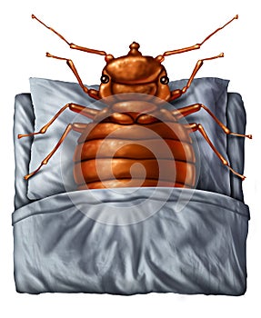 Bedbug Concept photo