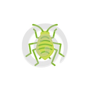 Bedbug insect flat icon