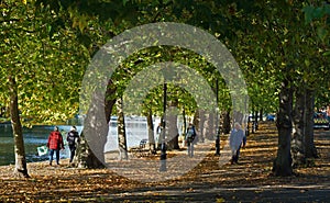 : Trees along Bedford embankment with people walking.