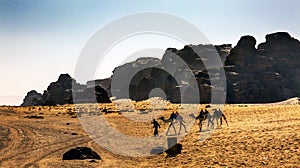 Bedoin Camels Yellow Sand Valley of Moon Wadi Rum Jordan