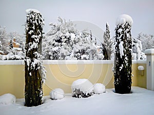 Bedoin-Garden Snow 2