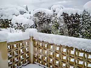 Bedoin-Garden Snow 8