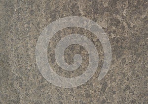 Bedonia Flamed Concrete Wall Texture