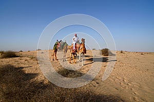 Bedouin on Camel
