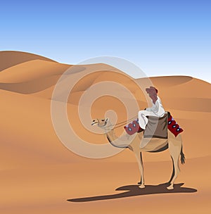 Bedouin and Camel