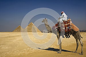 Bedouin On Camel Against Pyramids In Egypt photo