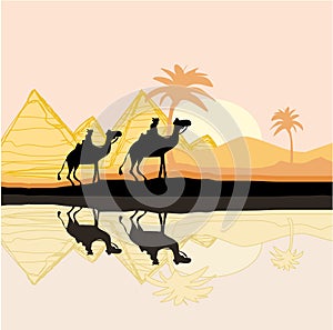 Bedouin camel caravan