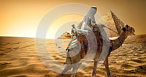 Bedouin on camel in desert photo