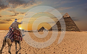 A bedouin on a camel in front of the Great Pyramids of Giza