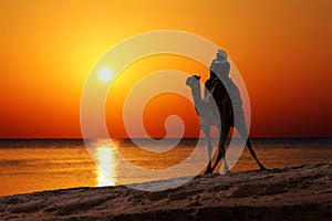 Bedouin on camel silhouette against sunrise