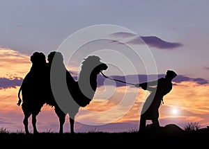 Bedouin and camel silhouette at sunset