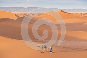 Bedouin and camel on way through sandy desert Beautiful sunset with caravan on Sahara, Morocco Desert with camel and nomads