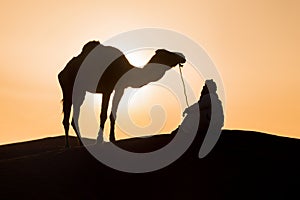 Bedouin and camel on way through sandy desert Beautiful sunset with caravan on Sahara, Morocco Desert with camel and nomads
