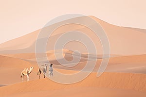 Bedouin and camel on way through sandy desert Nomad leads a camel Caravan in the Sahara during a sand storm in Morocco Desert.