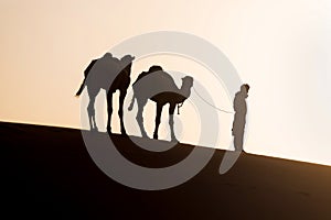 Bedouin and camel on way through sandy desert Nomad leads a camel Caravan in the Sahara during a sand storm in Morocco Desert.