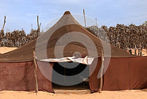 Bedouin camp photo