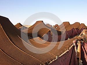 Bedouin camp in Morocco