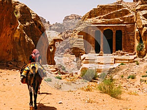 A Bedouin Guide in Petra