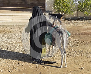 Bedouin life. An elderly woman entertains tourists.