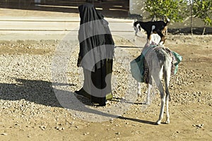Bedouin life. An elderly woman entertains tourists. photo