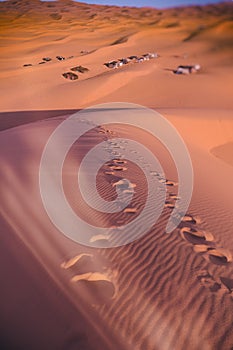 Bedouin nomad tent camp, Erg Chebbi, Morocco