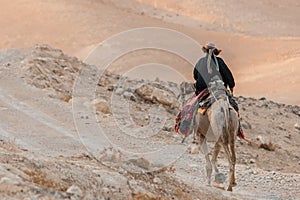 Bedouin riding a camel