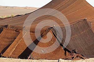 Bedouin tent found in the Sahara desert