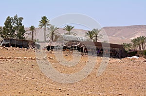 Bedouin tent in Israel