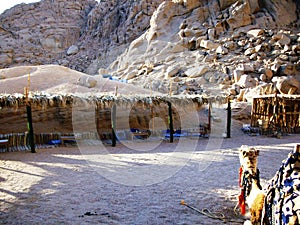 Bedouin tent landscape in Egypt