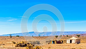 Bedouin tent in the Sahara desert of Morocco next to M`hamid