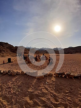 Bedouin Village Egypt