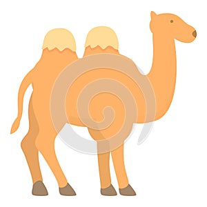 Bedouins camel icon cartoon vector. Tent camp