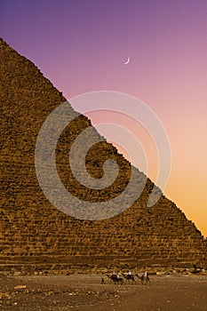 Bedouins On Camels Against Pyramid In Egypt