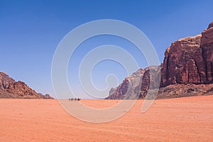 Bedouins and camels