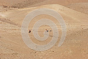 Bedouins in Judea desert