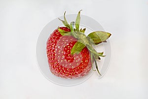 Bedraggled Strawberry