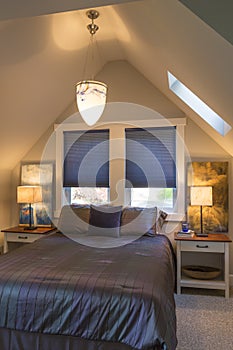 Bedroom with bed, bedside tables, vaulted ceiling, window coverings and accent lighting in contemporary upscale home interior