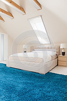 Bedroom with blue carpet