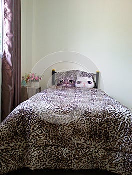 Bedroom cat leopart decorate