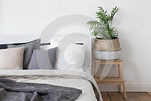 Bedroom interior bed and bedside table with plant