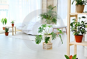 Bedroom interior with indoor plants. Trendy home