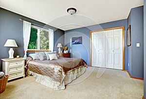 Bedroom interior with navy walls and closet