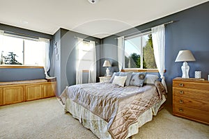 Bedroom interior with navy walls and queen bed