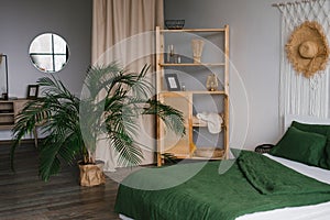 Bedroom interior in Scandinavian style. A bed with green linens, a potted date palm houseplant on the floor